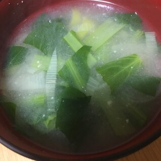 ふつうのネギと小松菜のお味噌汁